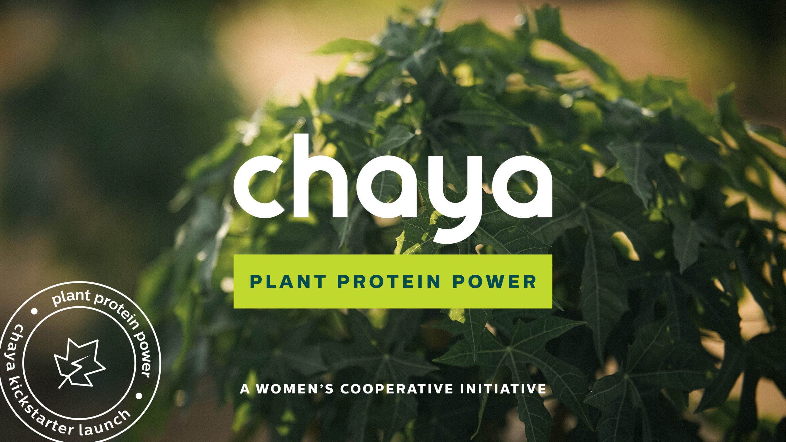 Chaya Kickstarter Campaign | MATTER