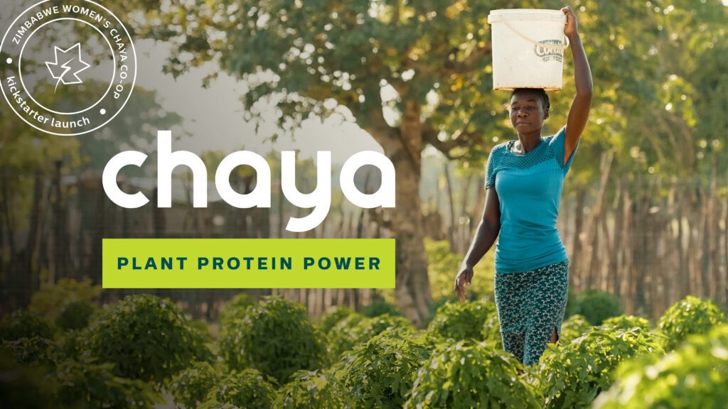 Chaya Kickstarter Campaign